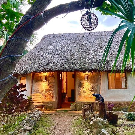 Encantadora Villa Maya Tradicional En Rancho Agroecologico Tzucaceb Esterno foto