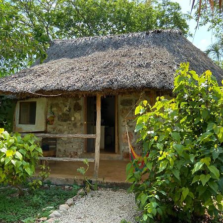 Encantadora Villa Maya Tradicional En Rancho Agroecologico Tzucaceb Esterno foto