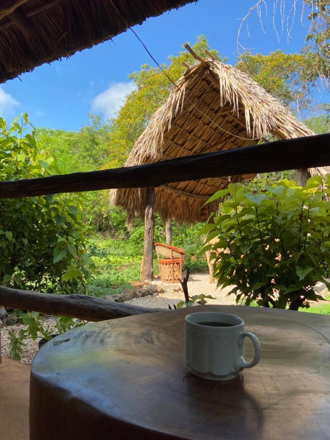 Encantadora Villa Maya Tradicional En Rancho Agroecologico Tzucaceb Esterno foto