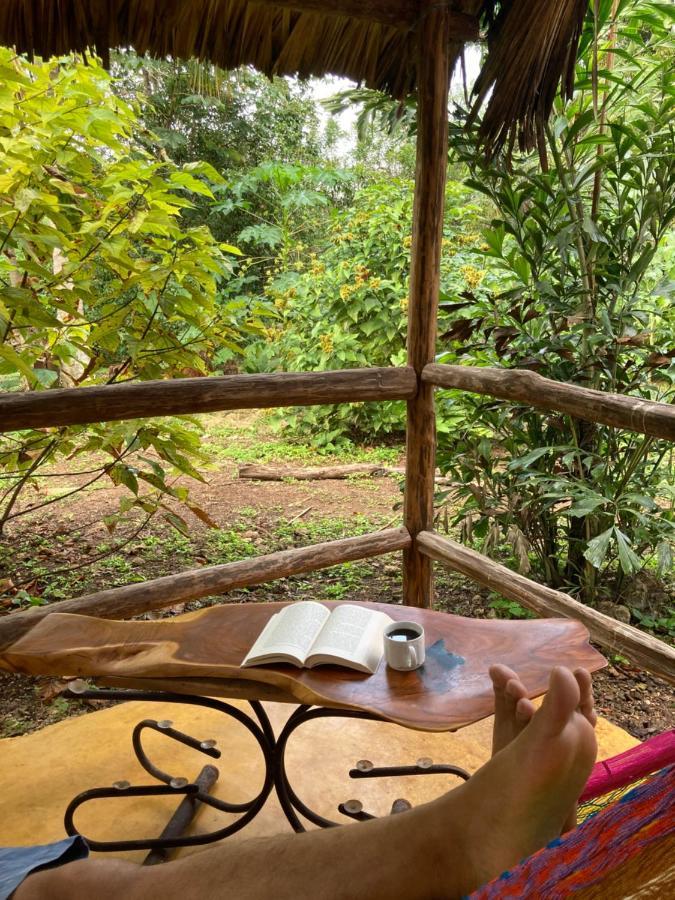 Encantadora Villa Maya Tradicional En Rancho Agroecologico Tzucaceb Esterno foto