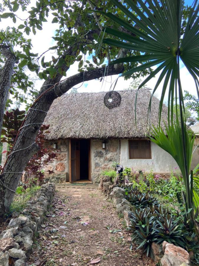 Encantadora Villa Maya Tradicional En Rancho Agroecologico Tzucaceb Esterno foto