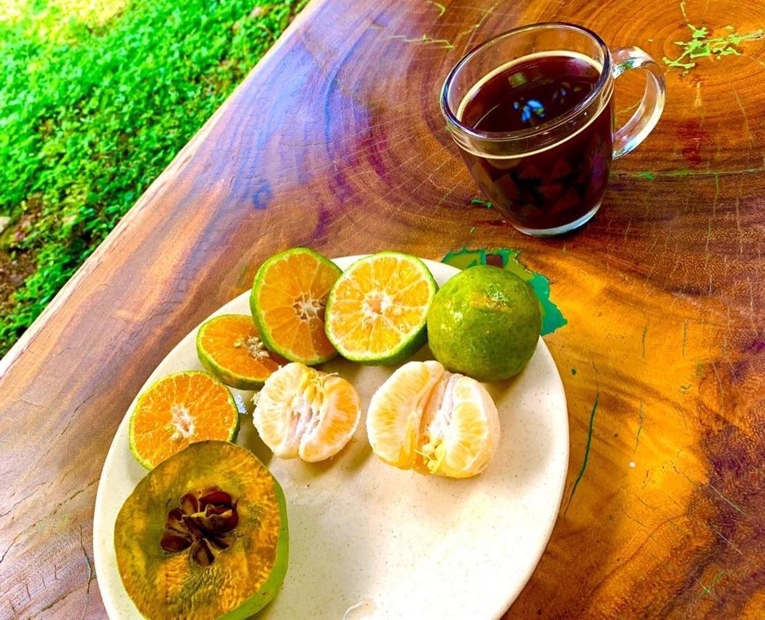 Encantadora Villa Maya Tradicional En Rancho Agroecologico Tzucaceb Esterno foto