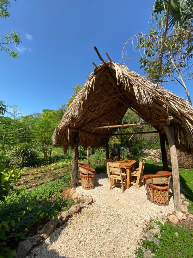 Encantadora Villa Maya Tradicional En Rancho Agroecologico Tzucaceb Esterno foto