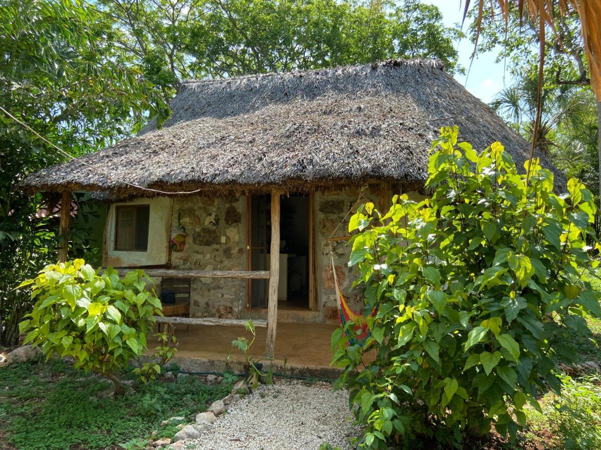 Encantadora Villa Maya Tradicional En Rancho Agroecologico Tzucaceb Esterno foto