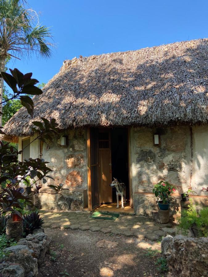 Encantadora Villa Maya Tradicional En Rancho Agroecologico Tzucaceb Esterno foto
