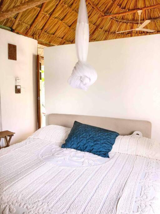 Encantadora Villa Maya Tradicional En Rancho Agroecologico Tzucaceb Esterno foto
