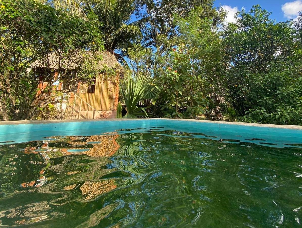 Encantadora Villa Maya Tradicional En Rancho Agroecologico Tzucaceb Esterno foto