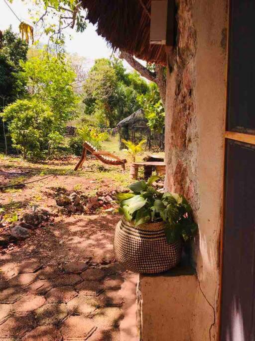 Encantadora Villa Maya Tradicional En Rancho Agroecologico Tzucaceb Esterno foto