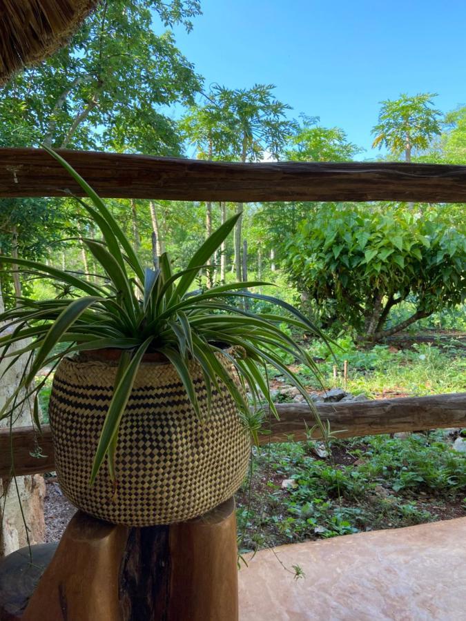 Encantadora Villa Maya Tradicional En Rancho Agroecologico Tzucaceb Esterno foto