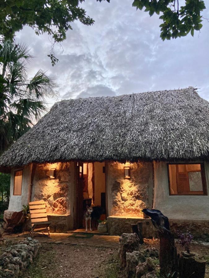 Encantadora Villa Maya Tradicional En Rancho Agroecologico Tzucaceb Esterno foto