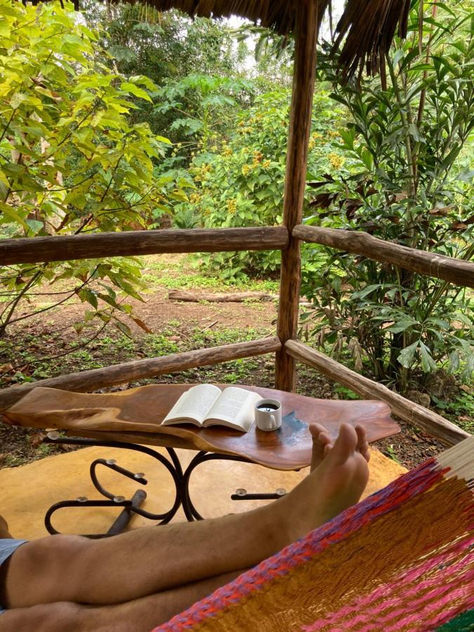 Encantadora Villa Maya Tradicional En Rancho Agroecologico Tzucaceb Esterno foto