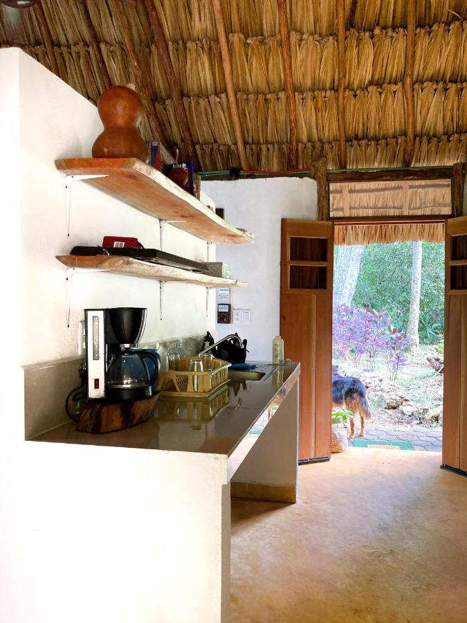 Encantadora Villa Maya Tradicional En Rancho Agroecologico Tzucaceb Esterno foto