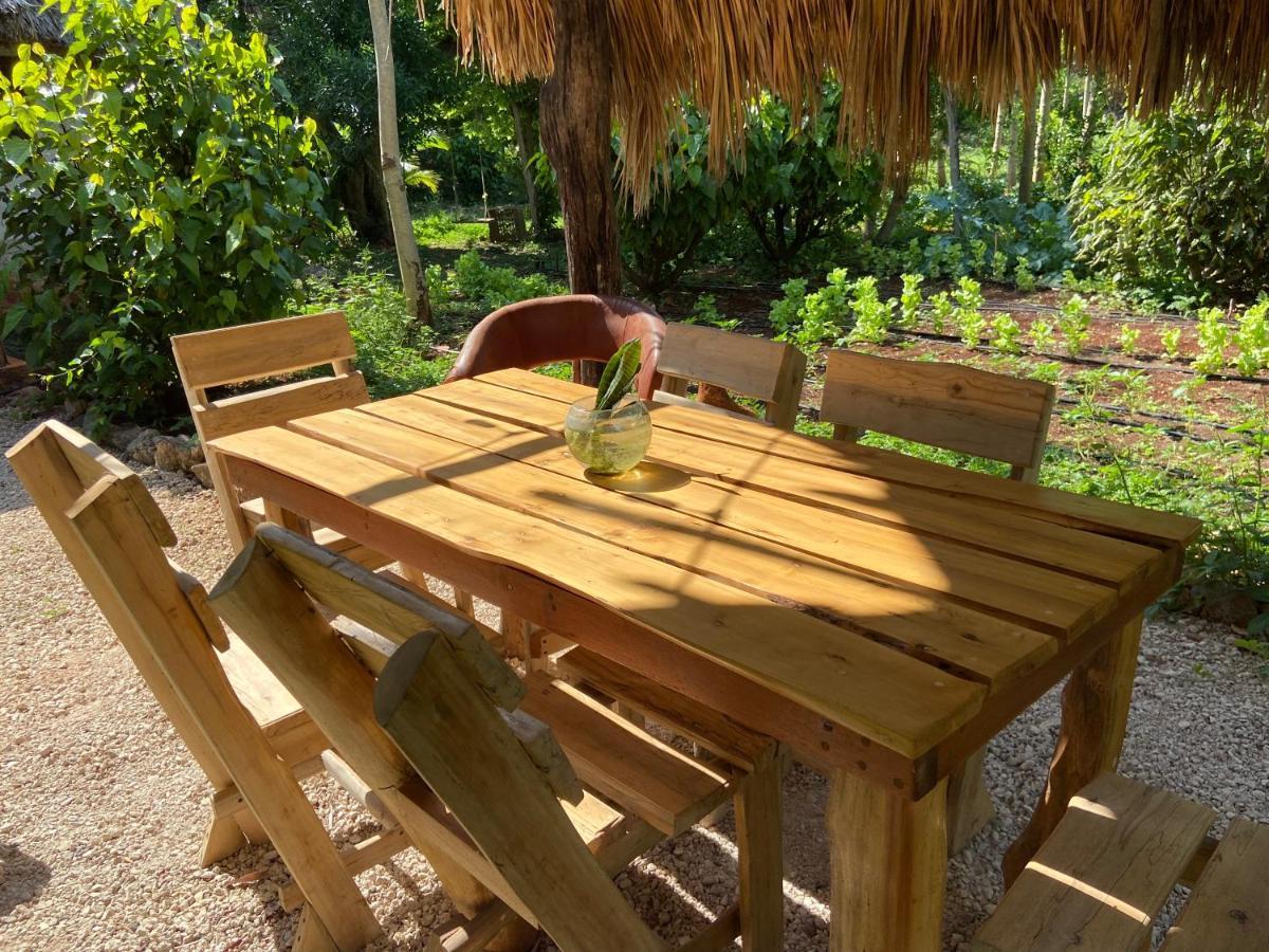 Encantadora Villa Maya Tradicional En Rancho Agroecologico Tzucaceb Esterno foto