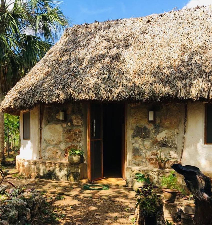 Encantadora Villa Maya Tradicional En Rancho Agroecologico Tzucaceb Esterno foto