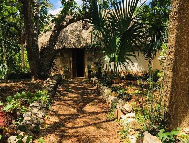 Encantadora Villa Maya Tradicional En Rancho Agroecologico Tzucaceb Esterno foto