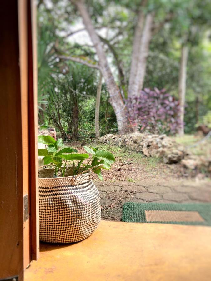 Encantadora Villa Maya Tradicional En Rancho Agroecologico Tzucaceb Esterno foto