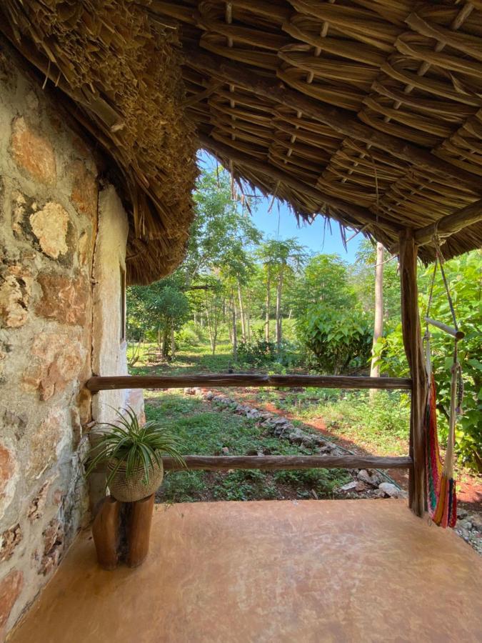 Encantadora Villa Maya Tradicional En Rancho Agroecologico Tzucaceb Esterno foto