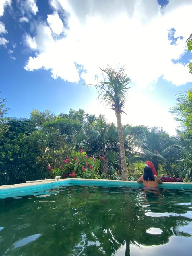 Encantadora Villa Maya Tradicional En Rancho Agroecologico Tzucaceb Esterno foto
